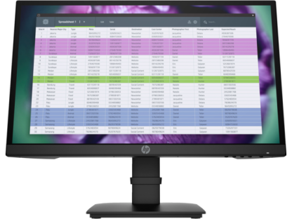 HP P22 G4 22 FHD Monitor